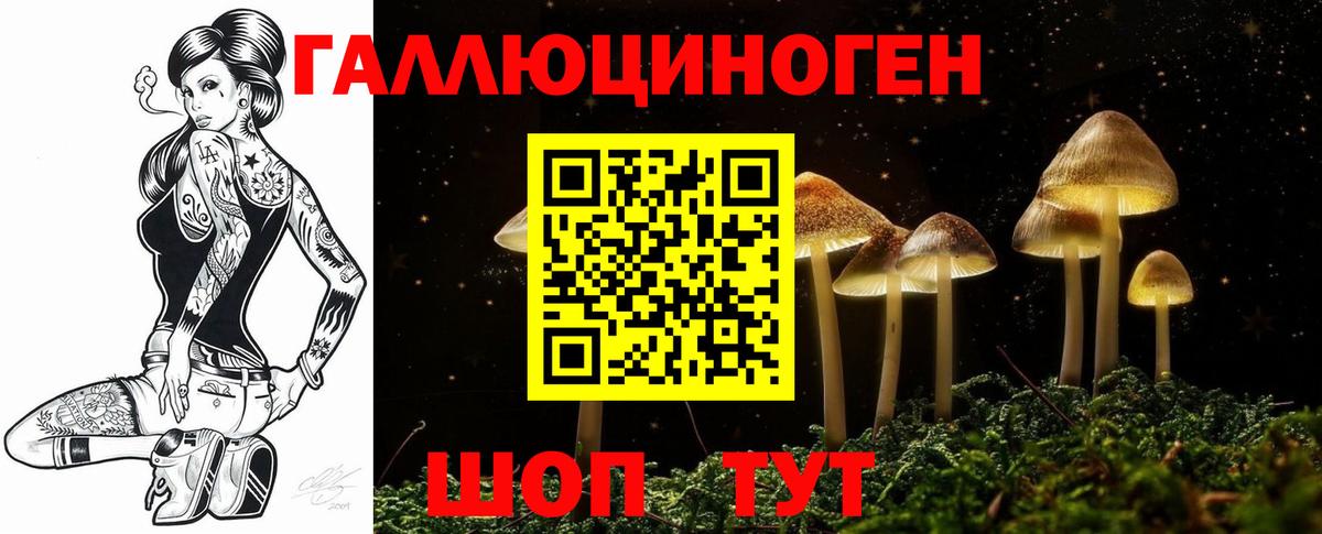 Ипатово  Галлюциногенные грибы Magic Shrooms  Вход с VPN 